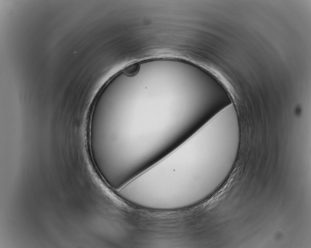 X0000100361142200806060817
