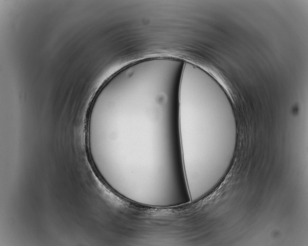 X0000100361143200806060817