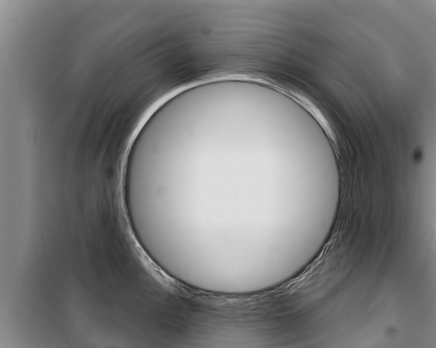 X0000100361148200806060817