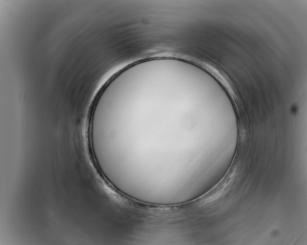 X0000100361149200806060817