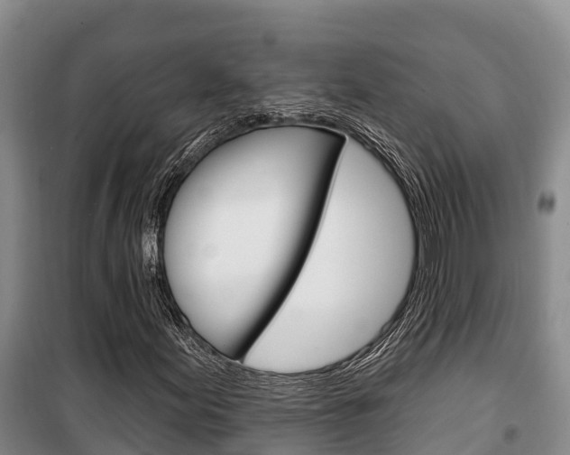 X0000100361155200806060816