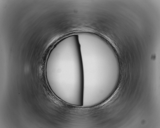 X0000100361163200806060816