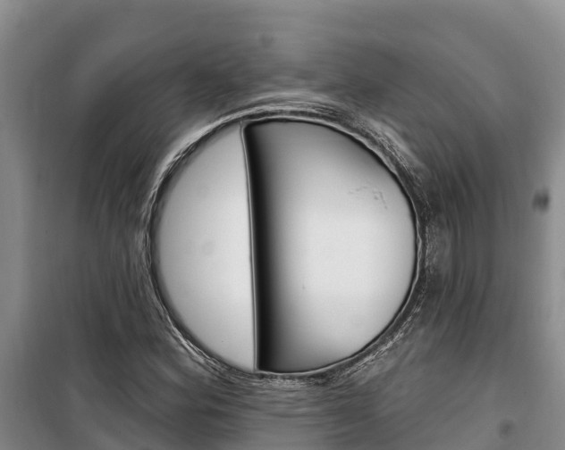 X0000100361164200806060816