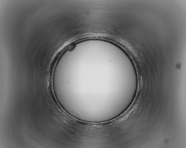 X0000100361165200806060816