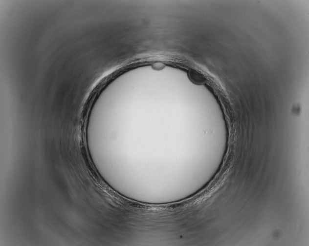 X0000100361166200806060816