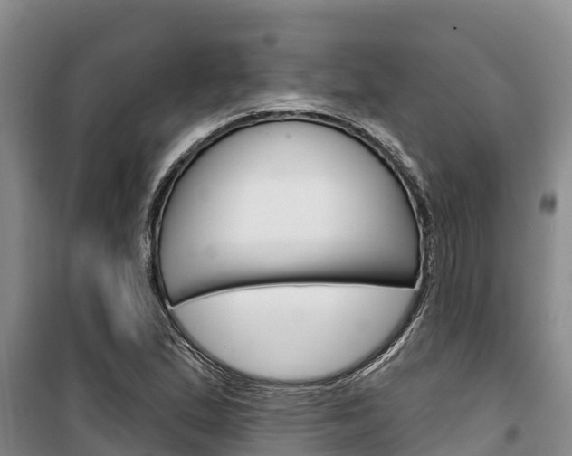 X0000100361167200806060816