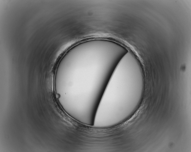 X0000100361171200806060816