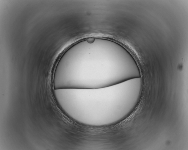 X0000100361173200806060816
