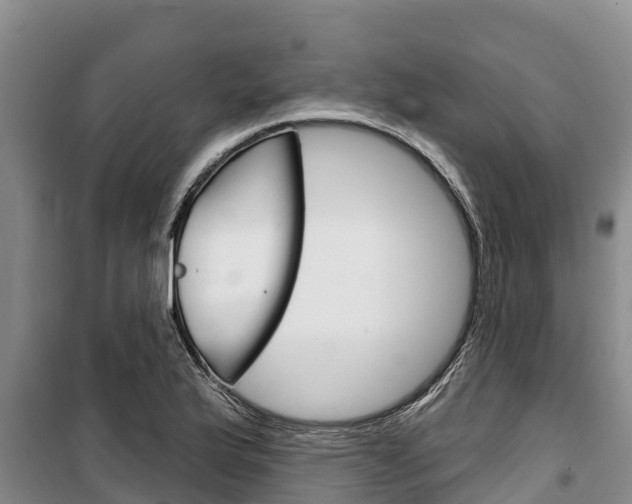 X0000100361175200806060816