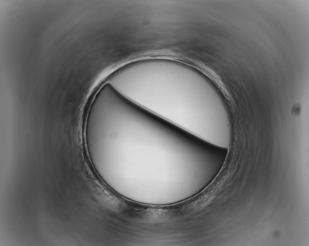 X0000100361176200806060816