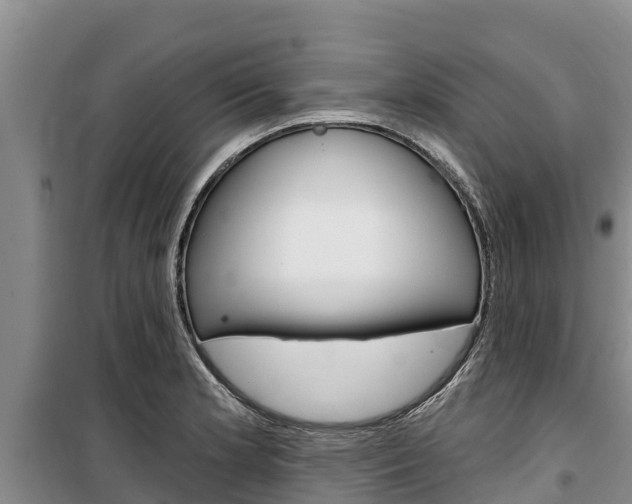 X0000100361181200806060816