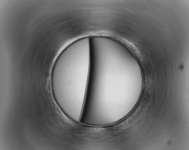 X0000100361184200806060816