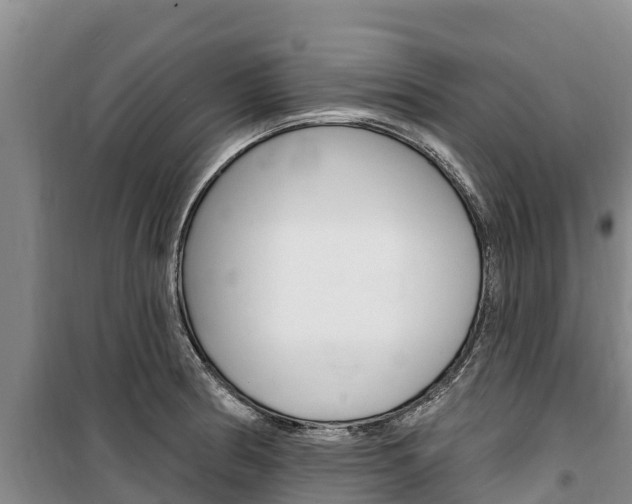 X0000100361186200806060816