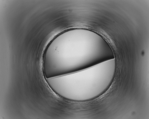 X0000100361188200806060816
