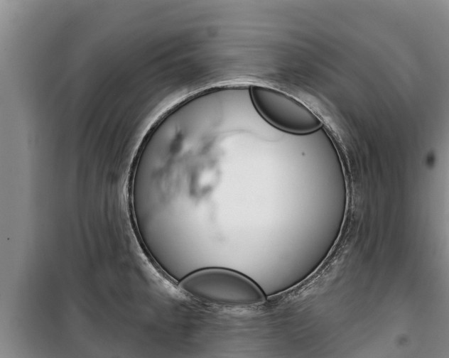 X0000100361189200806060816