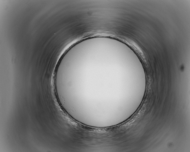 X0000100361190200806060816