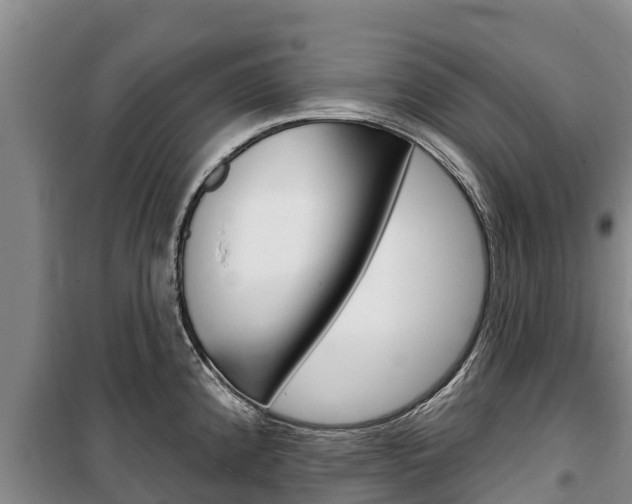 X0000100361192200806060816