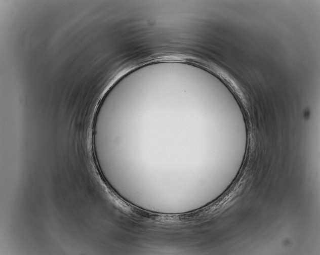 X0000100361194200806060816