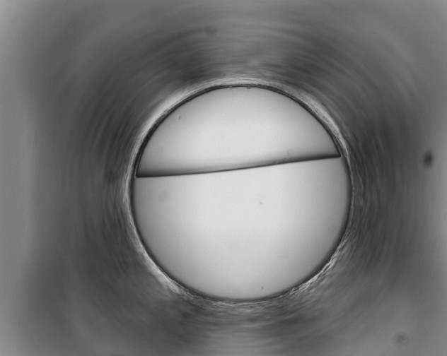 X0000100361197200806060816
