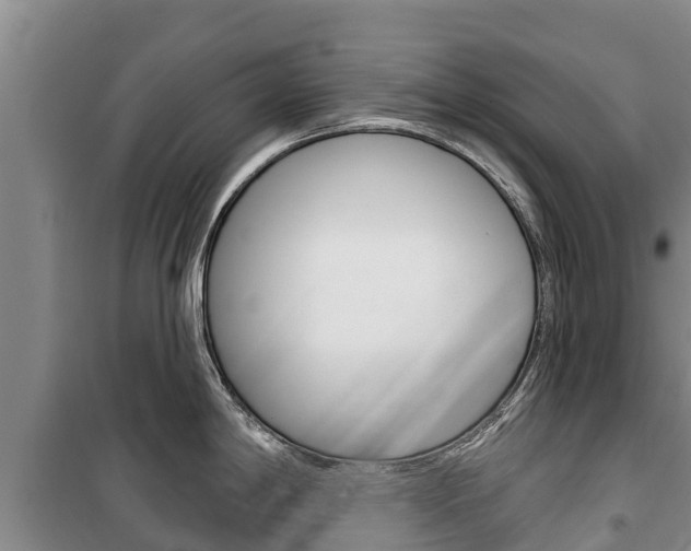 X0000100361198200806060816
