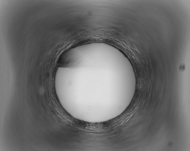 X0000100361201200806060815