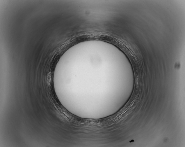 X0000100361204200806060815