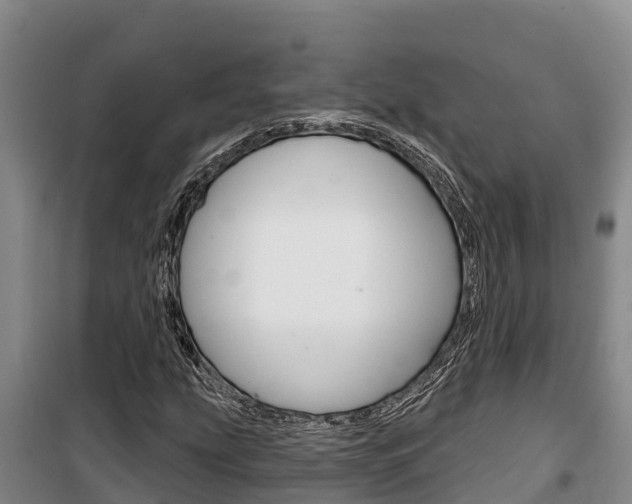 X0000100361207200806060815