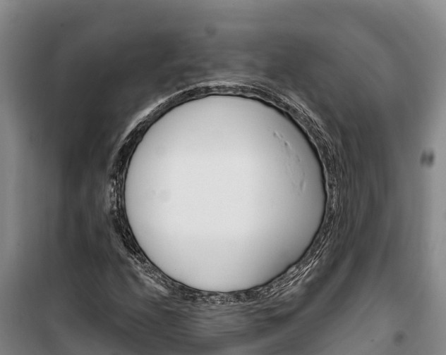X0000100361208200806060815