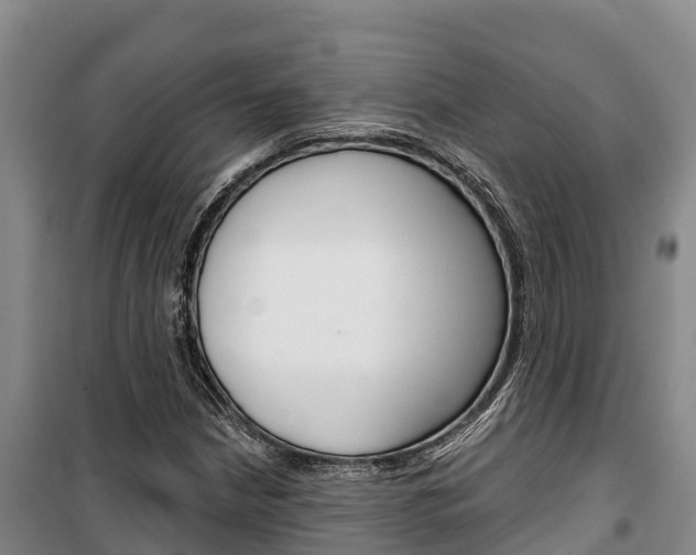 X0000100361210200806060815