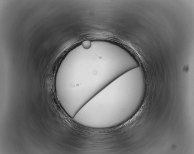 X0000100361211200806060815