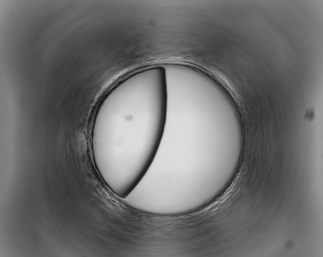X0000100361212200806060815