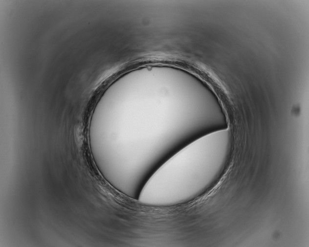 X0000100361213200806060815