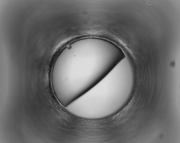 X0000100361214200806060815