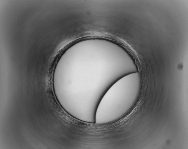 X0000100361215200806060815