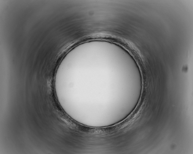 X0000100361217200806060815