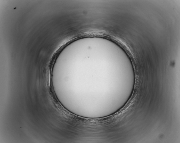 X0000100361219200806060815