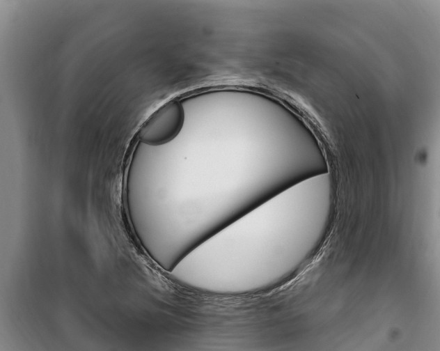X0000100361220200806060815