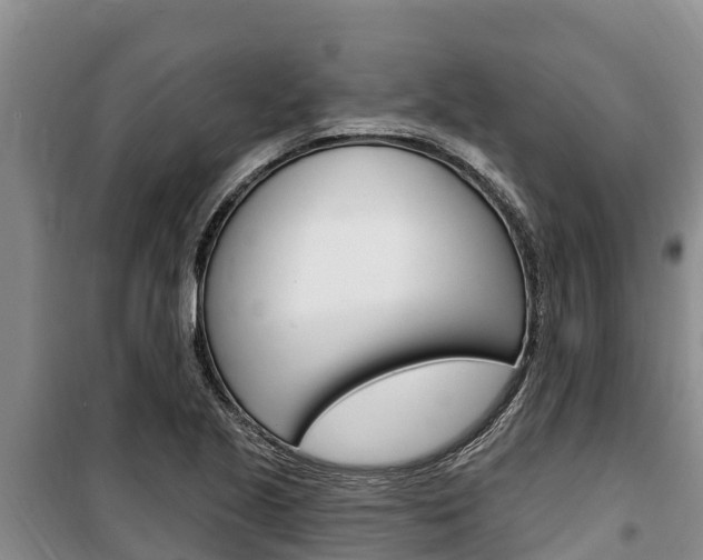 X0000100361221200806060815