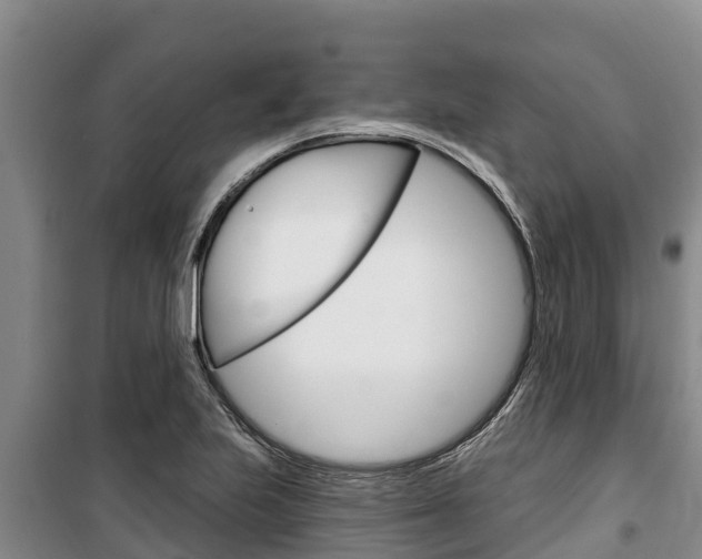 X0000100361223200806060815