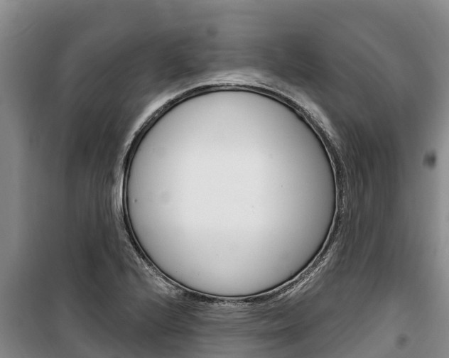 X0000100361224200806060815