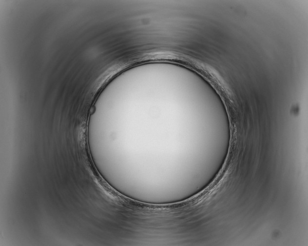 X0000100361225200806060815