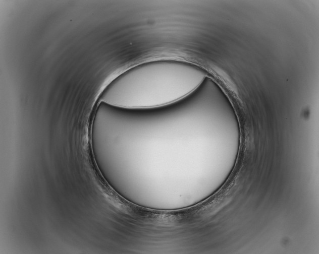X0000100361226200806060815