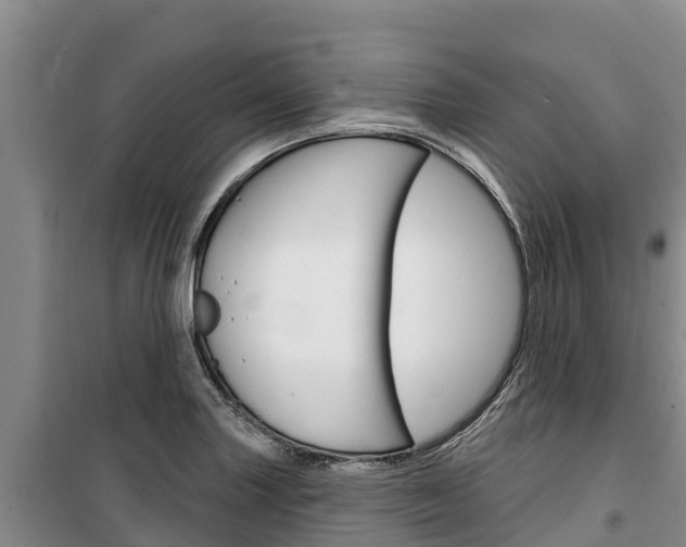 X0000100361227200806060815