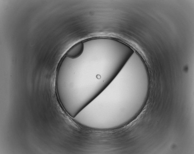 X0000100361228200806060815