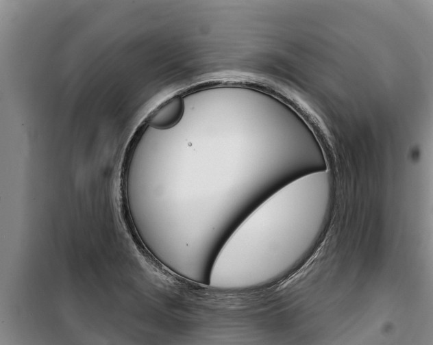 X0000100361229200806060815