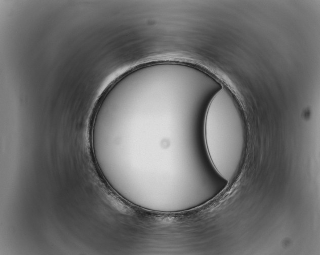 X0000100361230200806060815