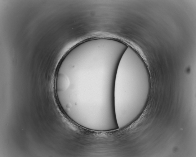 X0000100361231200806060815