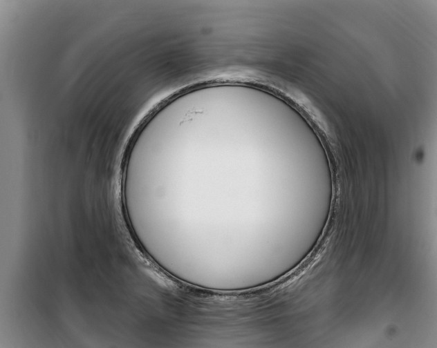 X0000100361232200806060815