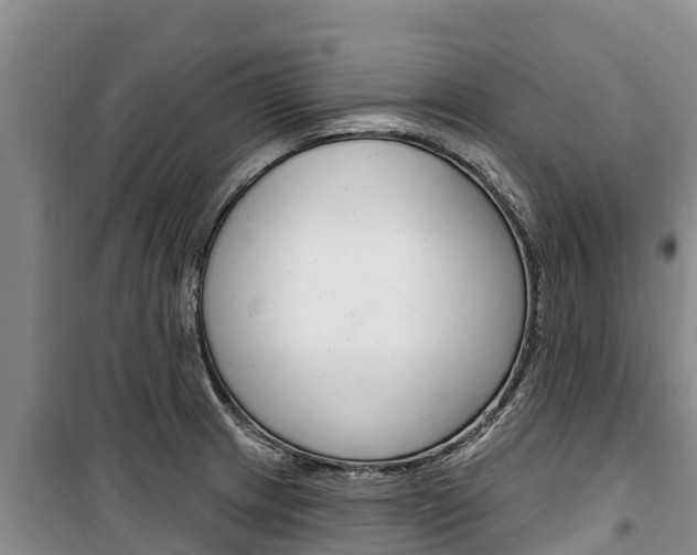 X0000100361233200806060816