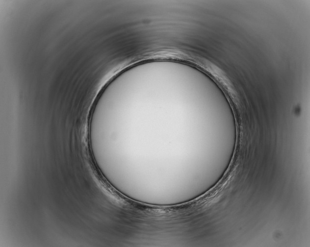 X0000100361234200806060816